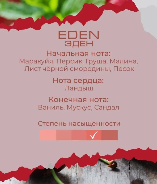 Изображение №5 Рефил (100 мл) EDEN